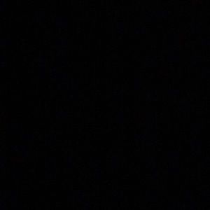 Meet your Posher, Daisy